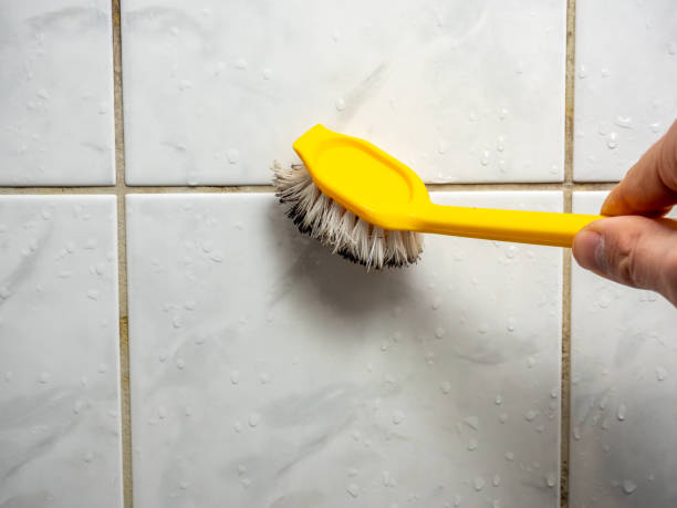 Best Mold Removal Near Me  in Patton Village, TX