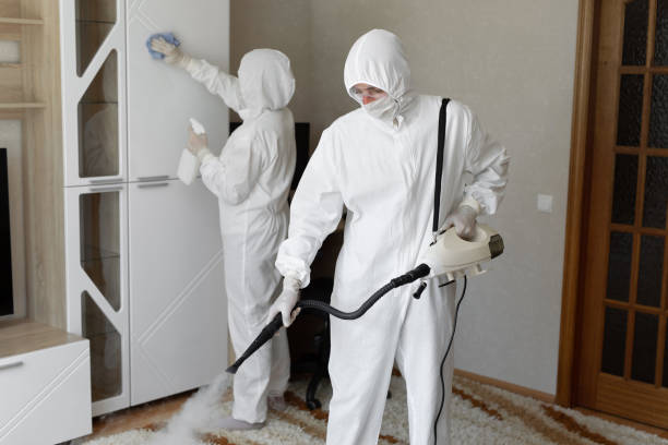 Best Mold Removal Process  in Patton Village, TX