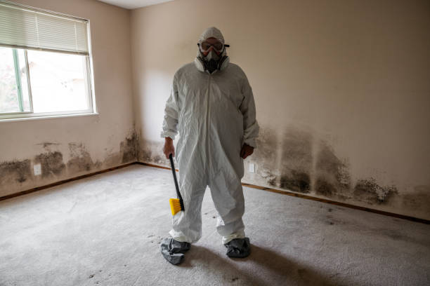 Best Residential Mold Removal  in Patton Village, TX